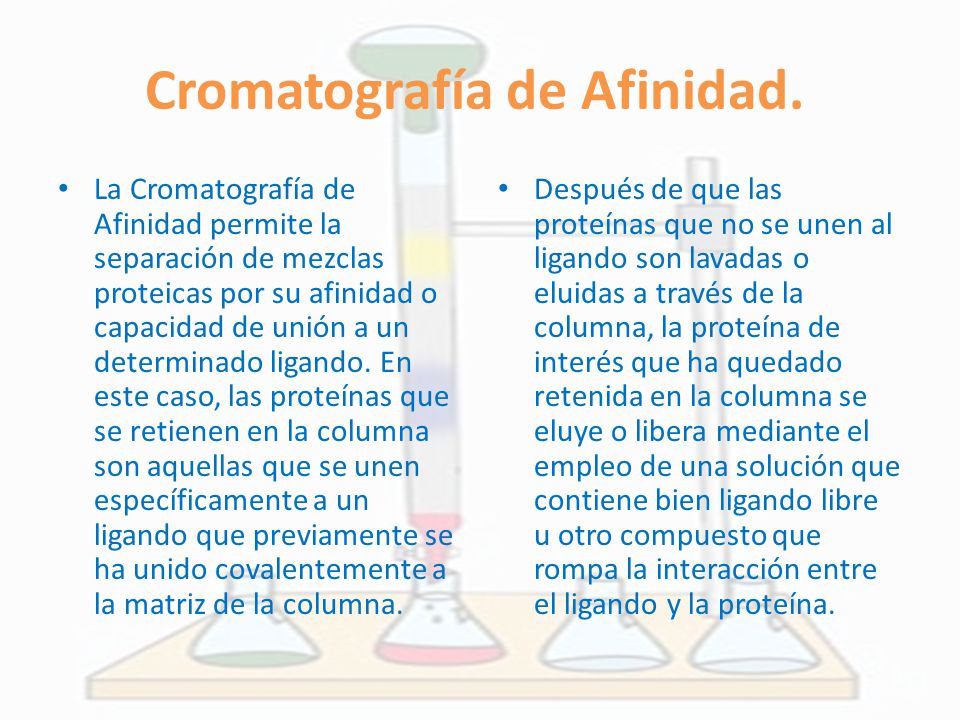 Cromatografia afinidade protein as para bajar de peso Cromatografia afinidade protein as para bajar de peso